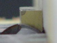 butterfly07.jpg