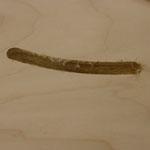 Circle Divot Straight Entry image